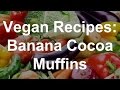 Vegan Recipes: Banana Cocoa Muffins